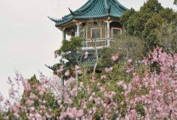 周庄一日游【夜游周庄（含门票，含船票）全程纯玩，不进购物店】【纯玩无购物，轻松旅游！美丽的江南水乡景色，江南典型的“小桥、流水、人家”】