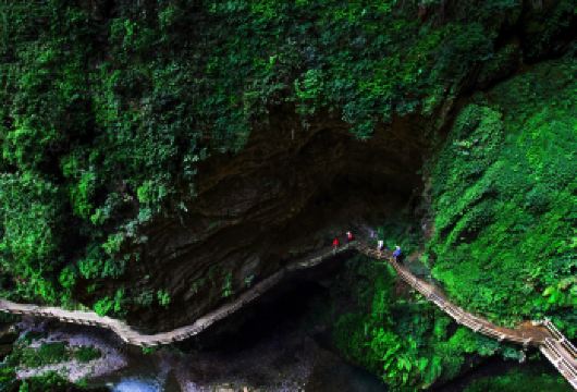 重庆出发：武隆天生三桥+龙水峡地缝一日游【纯玩·无购物】【VIP大巴团，纯玩无购物，定点上车，含午餐，实惠玩武隆】