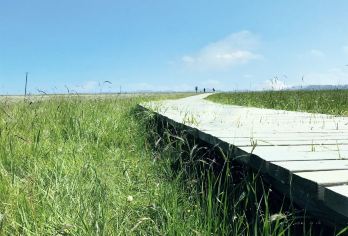 康乐草原+七彩丹霞一日游【可选康乐草原半日2-6人精品小团】【[康乐草原]轻奢草原漫游与野趣】