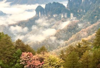 汉中-光雾山一日【2-6人私家团】-【含门票+景交车】【1、全程优秀服务人员贴心服务，汉中市区上门接送，可接十点抵达高铁，更加方便出行！】