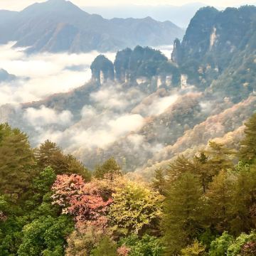 6人团-汉中油菜花-光雾山-【含门票+燕子岭往返索道】