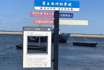 威海荣成6人团 百合湾-天鹅湖赠天鹅粮-大庄许家海草房-沉船【西伯利亚天鹅 看天鹅赠送天鹅粮 非遗大庄许家海草房】