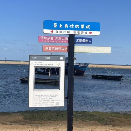 威海荣成6人团 百合湾-天鹅湖赠天鹅粮-大庄许家海草房-沉船