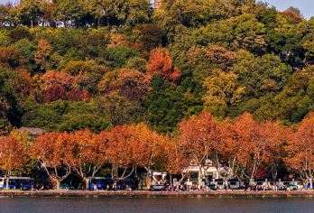 杭州雷峰塔+西湖游船环湖(不登岛)+2小时人文讲解服务半日游【经典景点，甄选代表性景观，深入解读其历史人文价值，确保行程核心体验的深度与高度】