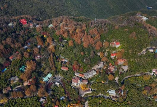 德清莫干山一日游【私家团+开车上山+行程可调整+司兼导陪同】【[VIP上山通道]直接开车上山，无需换乘景区接驳车，省时省力；】