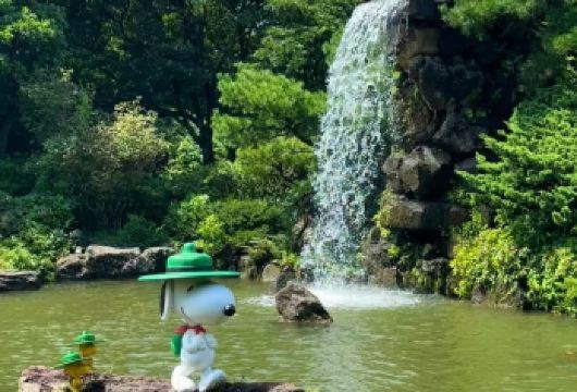 韩国济州特别自治道济州一日游【水族馆、史努比乐园】【史努比+海洋馆+小狗咖啡厅+贝果博物馆】