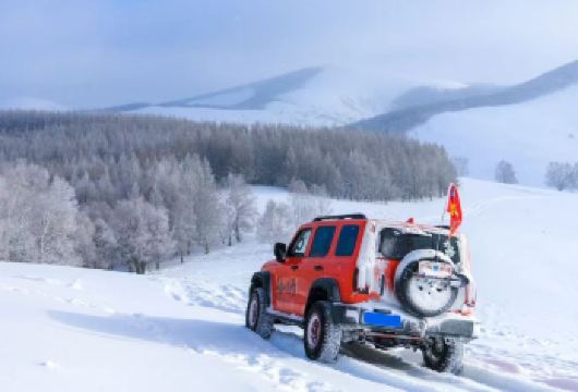乌兰布统塞北雪乡穿越半日游【激情体验：越野车深度穿越（约3-4小时）深雪徒步】