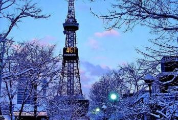 日本札幌往返室兰地球岬-可札幌登别富良野美瑛北海道包车-精选【包车一日游，解锁旅行新方式！独立车辆配备经验丰富的老司机，为您量身打造专属行程。】