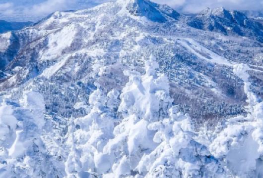 日本札幌出发打卡小樽积丹半岛/可登别富良野北海道多日包车精选【包车一日游，解锁旅行新方式！独立车辆配备经验丰富的老司机，为您量身打造专属行程。】