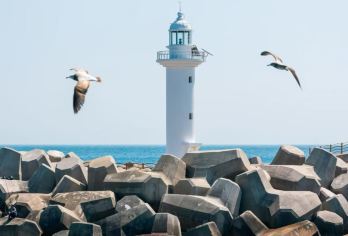 柱状节理+天地渊瀑布+鸟岛新缘桥+中文海水【包车|景点可选】【当地中文司机，在地生活，感受当地人的模式 美食攻略，旅途聚会，吃吃喝喝畅游当地】