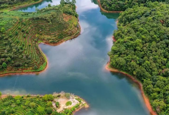 普洱包车地陪导游翻译地接陪同接送旅游展会商务考察陪诊【普洱包车地陪导游翻译地接陪同接送旅游展会商务考察陪诊】
