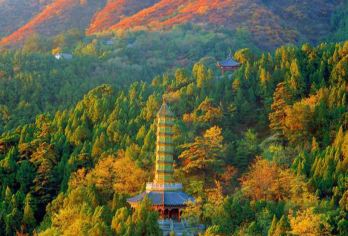 北京香山公园+颐和园一日游【游香山赏红叶层林尽染/如诗似画】【1.真正VIP私家团 纯玩线路，绝无购物店，一站直达景区！】