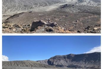 日本九州-福冈往返-大分海之卵水族馆-春日神社-大分精品游【专业行程定制，精选热门景点，高效游玩不走回头路，贴心服务保障，轻松】
