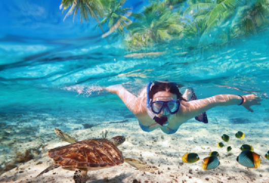 沙巴仙本那马布岛双岛一日游【可选浮潜/深潜丨两次浮潜】【马布岛畅玩+卡帕莱清澈水质浮潜】