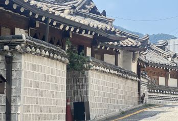 首尔枫叶专线：和谈林/北村/景福宫/一日游【探访景福宫欣赏守门将换岗仪式，漫步600年历史的北村韩屋村】