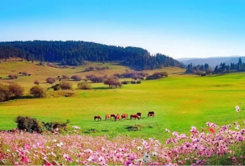 武隆天生三桥+仙女山+乌江画廊（武隆段）+2-8人小团纯玩【纯玩不进店，无套路，无车销，我们只做一件事：让您玩得爽！】