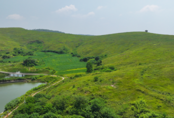 南京周边一日游：瓜埠山景区国家地质公园+平山森林公园【全程包车 专属服务】