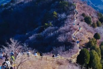 金海湖徒步栈道一日游【京版“麦理浩径”俯瞰金海湖+休闲徒步】【金海湖栈道环湖而建，分为几段，徒步时能俯瞰金海湖全景。】