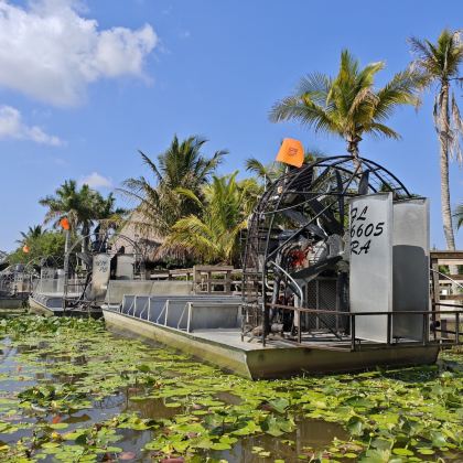 美国+迈阿密+大沼泽地国家公园一日游/行程可调-随性而行