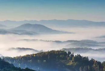 西双版纳南糯山+曼丢一日游【包车出行/睡醒再出发/茶园体验】【[私享小团上门接送]私密独立团，景洪市区范围均可上门接送，无需奔波早起，不走马观花】