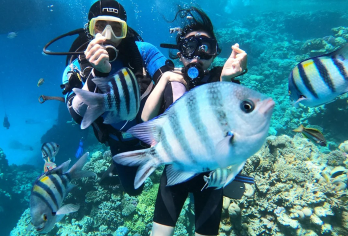 【自营大船】芽庄跳岛游+墨岛浮潜+海钓+滑梯+浆板+海鲜午餐【优质服务：中文导游+3安全员，全程陪玩，情绪价值给满！】