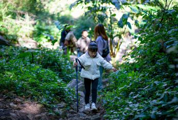 中国云南腾冲高黎贡山磨石河徒步【石墙野温泉+森林厨房】【[轻徒步]跟随向导轻徒步高黎贡山，远离城市的喧器，行走在山里，享受着幽静清新的大自然的气息。】