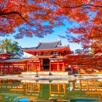 大阪出发【懒人专线】奈良小鹿互动+东大寺祈福+体验宇治抹茶