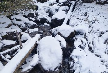 凉山螺髻山一日游纯玩【专业的旅游车队】