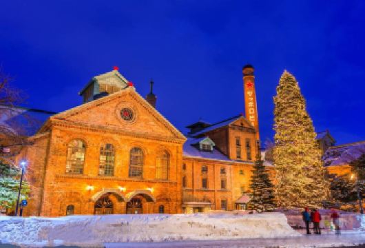 日本札幌+北海道厅旧本厅舍+薄野一日游/行程可调-可定制多日【包车一日游，解锁旅行新方式！独立车辆配备经验丰富的老司机，为您量身打造专属行程。】