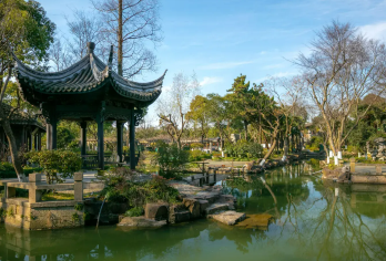 上海博物馆+课植园+上海温室花园+东方明珠塔【私人专车服务】【全程私人专车服务，不拼团，行程灵活可调整。】