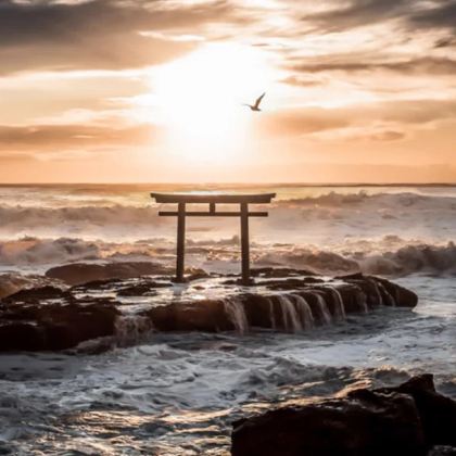 日本茨城大洗磯前神社+海鮮市場+常陆海滨公园粉蝶花海一日游