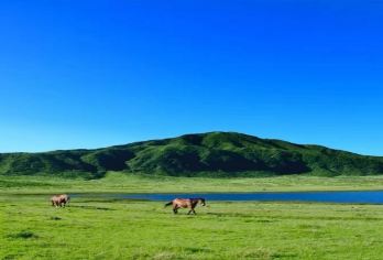 九州熊本阿苏火山草千里黑川温泉一日游【田园牧歌式的风景和氛围，享受草千里的雄伟景观】