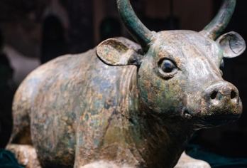 宁夏博物馆半日游【2-15人小团+深度讲解】【[品质保障]优选商品，品质拒绝购物 、无自费】