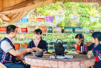 【茶海之巅】大渡岗万亩茶园全景徒步+普洱茶制作体验一日游【[世界景观，视觉盛宴] 亲临“世界大连片茶园”，登高远眺，万亩茶田如绿色波涛般起伏，线条优美】