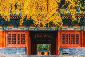 【郑州出发】少林寺一日游【全程正规旅游大巴，轻松直达少林寺，省去转车烦恼超省心】