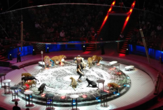 俄罗斯莫斯科市区一日游【酒店接送-中文司机-行程可调】