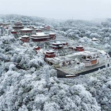 【季节限定·6H超长景区畅游】金佛山纯玩一日游
