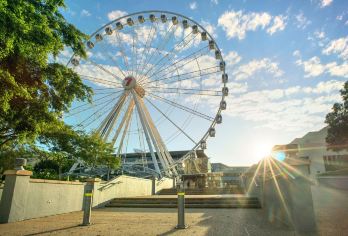 龙柏考拉+故事桥+莱托恩城堡国家公园+南岸公园+摩天轮※【「萌宠治愈×地标攀岩」萌宠治愈+地标深度+自然休闲+都市浪漫】