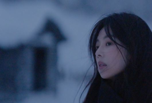 【雪岭秘境旅拍】把冬日浪漫定格成终身珍藏【轻徒步漫游雪岭，无需长途跋涉，便能尽览林海雪原的壮阔，体验踏雪而行的轻盈惬意，不负冬日好风光。】