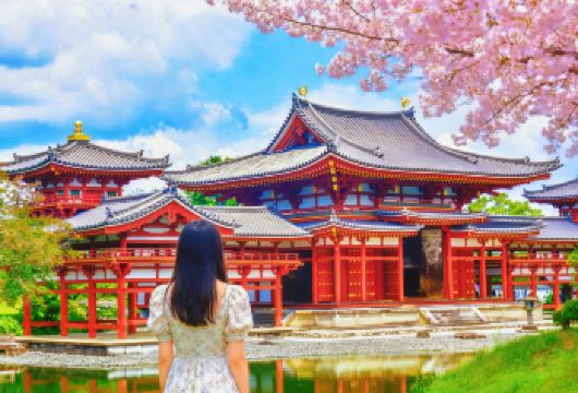 京都&宇治一日游丨探访金阁寺、清水寺、平等院，领略京都底蕴【英文&中文导游热情专业，带您畅游京都、宇治，尽享古韵与抹茶魅力！】