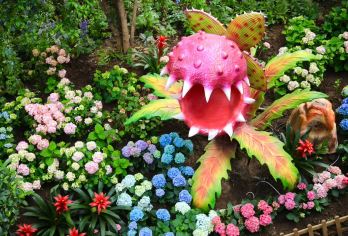 沈阳植物园一日游【[赏花观景] 四季花展不断 ，近百个国内外风情展园，登百合塔俯看整个园区】