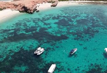 阿曼迪马尼亚特岛一日游追海豚＋Daymaniyat浮潜包接送【体验追逐野生海豚群，透明玻璃海浮潜体验，近距离观赏到海豚跃出海面的自然生态景观】