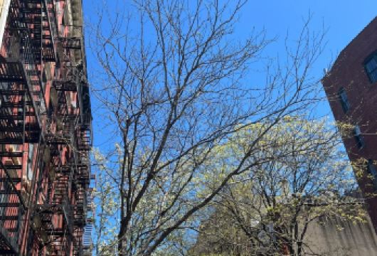 美国私享行-【纽约市区】4-5个地标深度游玩-定制行程【专业行程定制，精选热门景点，高效游玩不走回头路，贴心服务保障，轻松】