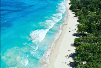 夏威夷欧胡岛一日游 威基基海滩+钻石头山+恐龙湾+马诺阿瀑布【[定制包车游]专享中文司机独立包车，市区范围酒店上门接送，行程路线天数可根据个人需求调整。】
