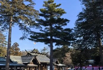 日本札幌市区浪漫风情体验/可小樽登别富良野北海道多日包车精选【包车一日游，解锁旅行新方式！独立车辆配备经验丰富的老司机，为您量身打造专属行程。】