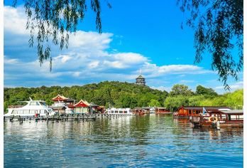 杭州雷峰塔+西湖风景名胜区+西湖游船+花港观鱼半日游【[保证纯玩]老牌旅行社，承诺无强制消费，没有隐形消费，甄选好线路；】