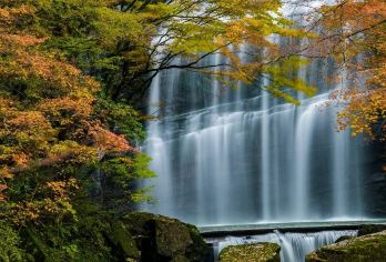陕西黎坪国家森林公园一日游丨赏秋专线/亲子游玩/高铁站直达【含景区门票+观光车】