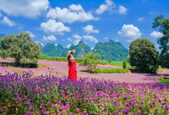 崇左+德天瀑布+峒那屿湾一日游【1单1团独立用车 】【崇左市区内免费上门接送 出行无忧 专业司机向导 服务更用心】