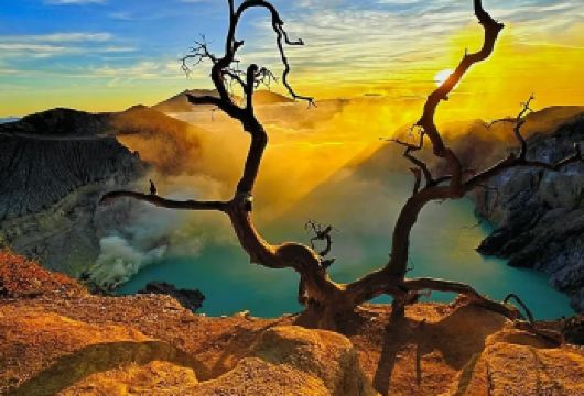 印尼泗水伊真火山一日游【往返小巴+防毒面罩+门票+健康证】【[服务保障]没有其他隐藏费⽤｜向导旅拍｜线上管家24小时服务｜自家领队地导管家】