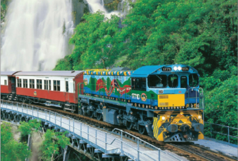 【可选和牛晚餐/抱考拉】凯恩斯库兰达雨林中文团一日游团后送机【[省心中文服务]当地好评团队服务；酒店上门接送，出行无忧；团后可送机，一站式服务】